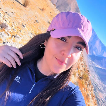 Professional Website